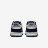 Mens Dunk Low Shoe