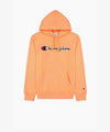 Mens Big Logo Pullover Hoodie