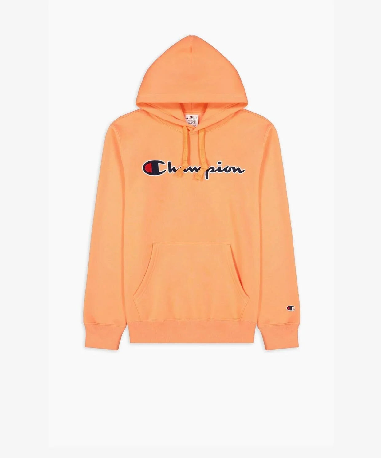 Mens Big Logo Pullover Hoodie