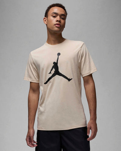 Mens Jumpman Dri-Fit Short Sleeve T-Shirt