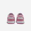 Womens Dunk Low NN Shoe