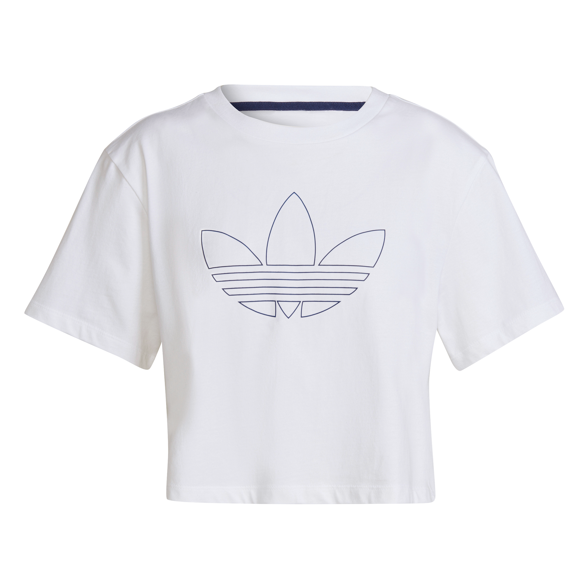 Womens Crop Top T-Shirt