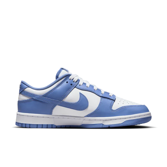 Mens Dunk Low Retro Shoe
