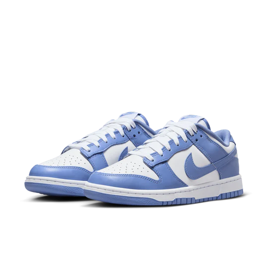 Mens Dunk Low Retro Shoe