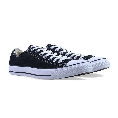 Chuck Taylor All Star Low Shoe