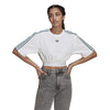 Womens Adicolor Classics Cropped Short Sleeve T-Shirt
