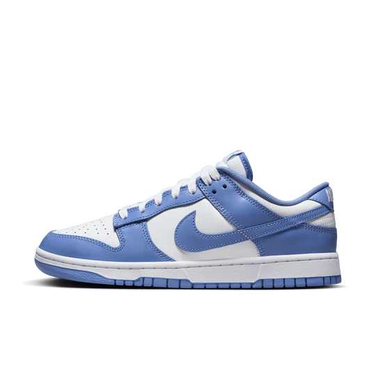 Mens Dunk Low Retro Shoe